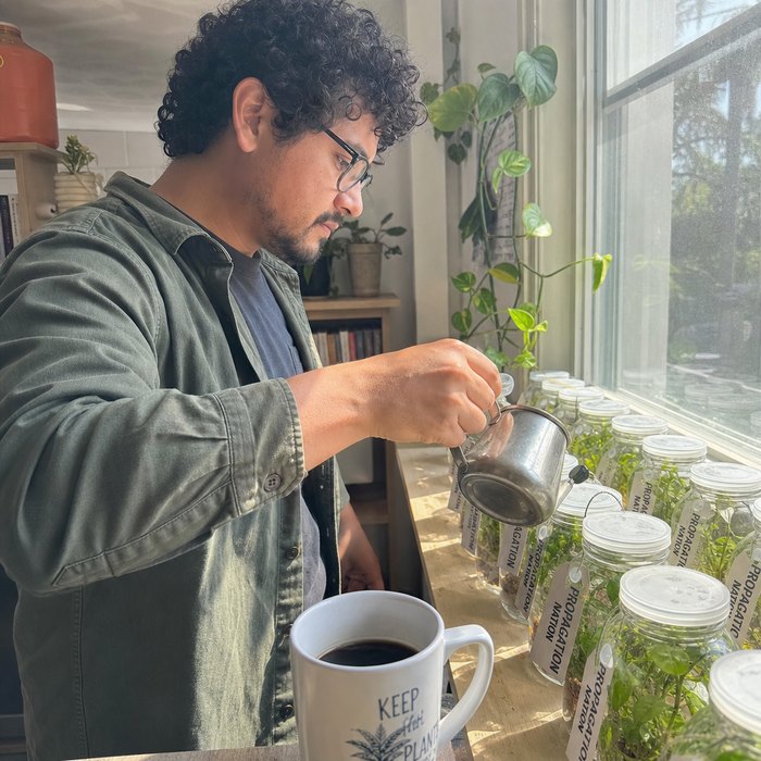 Seller potting plant cuttings